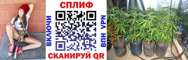 Марихуана семена даркнет сайт Арамиль